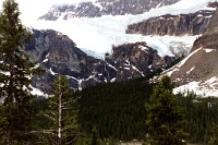 ba 127  Crowfoot Glacier as seen from Icefields Parkway  &#169; 2017 All Rights Reserved