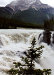 ba 176  The Athabasca Falls  &#169; 2017 All Rights Reserved