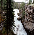 ba 182  The Athabasca Falls  &#169; 2017 All Rights Reserved