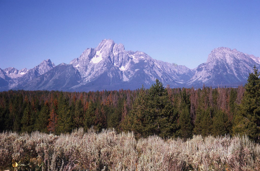 GrandTetons2