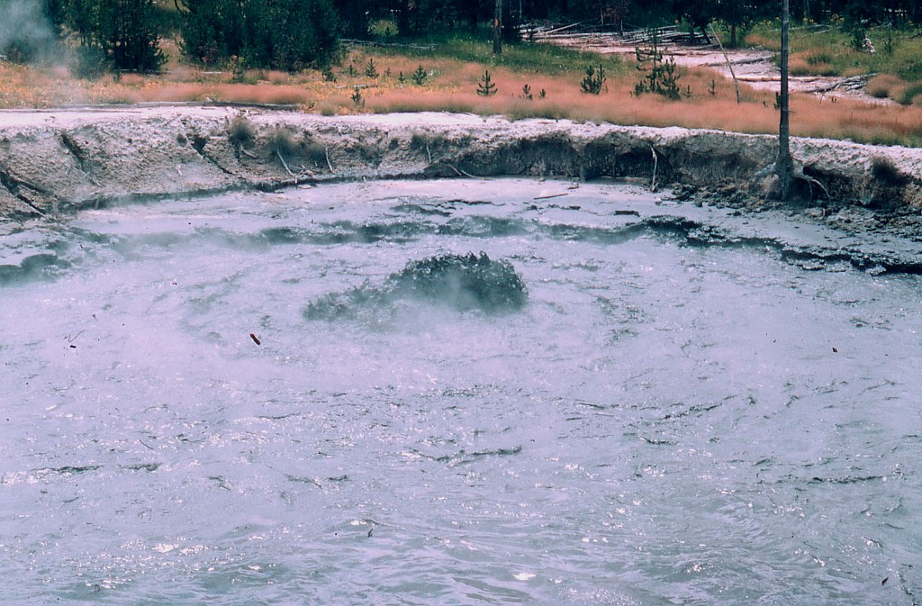 YellowStone1