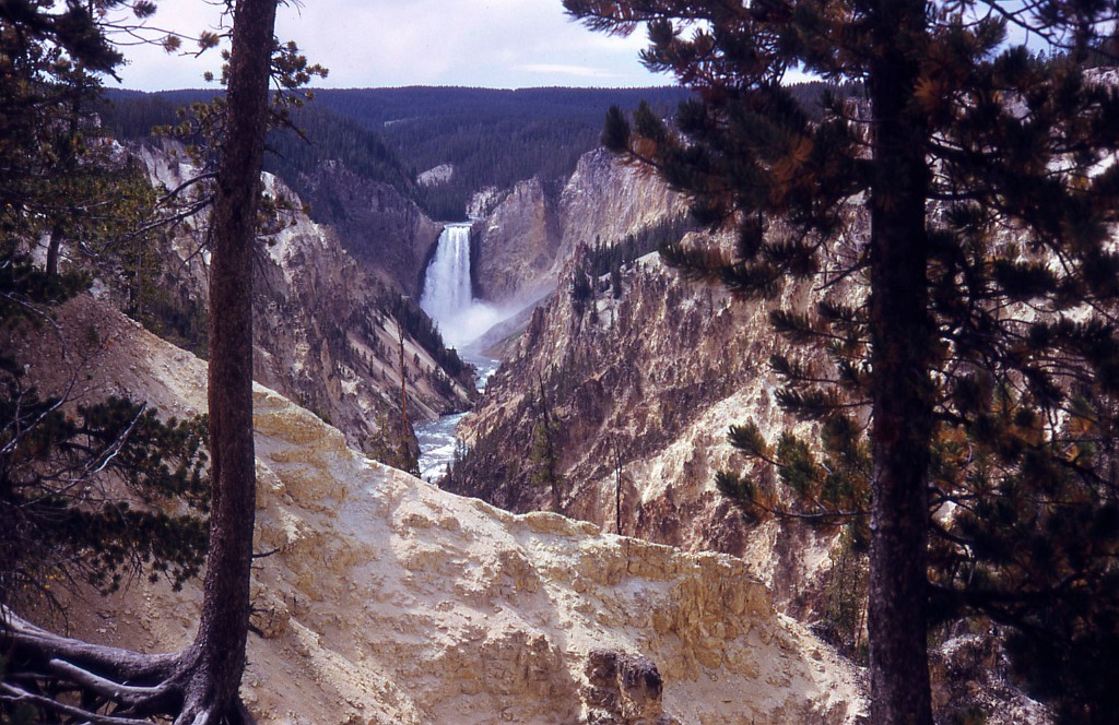 YellowStone5