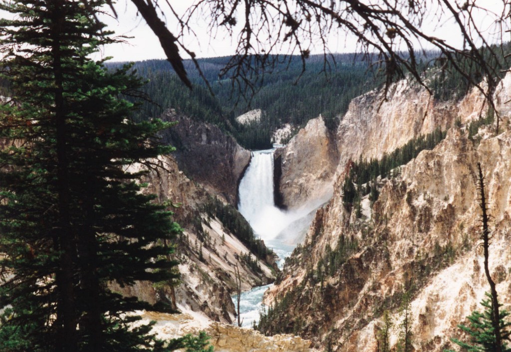 YellowStone2