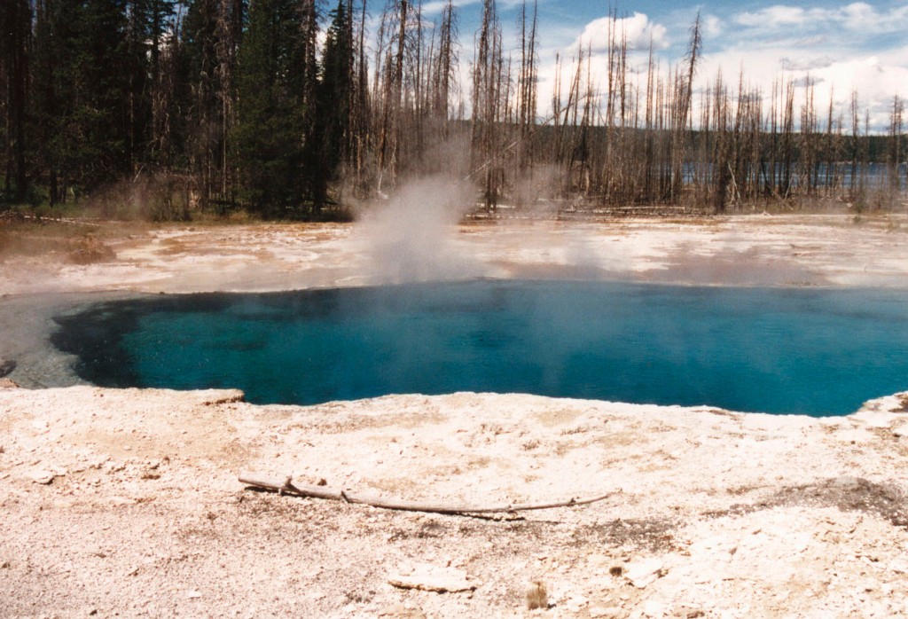 YellowStone5