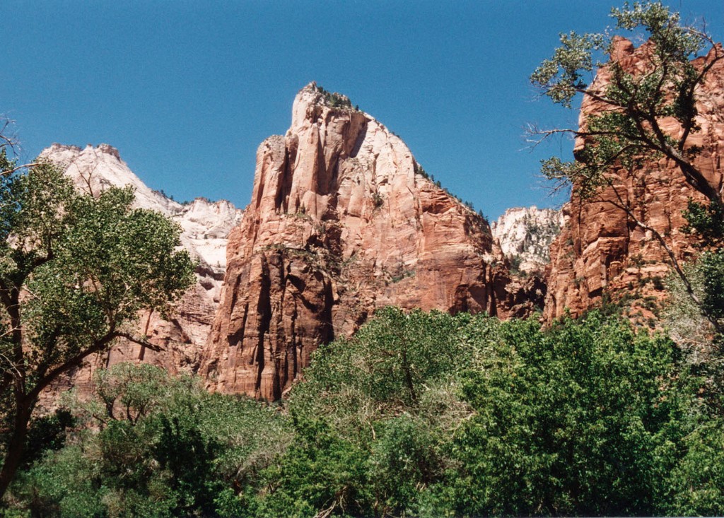 Zion1