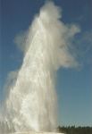 090  Old Faithful Geyser, Yellowstone National Park  &#169; 2017 All Rights Reserved