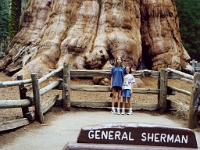 495  Michelle and Jessica at the General Sherman Tree in Sequoia National Park  &#169; 2017 All Rights Reserved